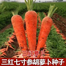 ���t�ߴ煢���}���N���ߴ���}���N�������}���ļ��Nֲ�̨