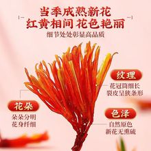 a½tˮݾƼtԭ_ԡɢbtlؼt