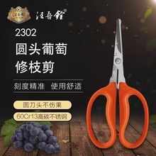 汪吾铨圆头款 葡萄专用不锈钢剪刀 园艺嫁接修枝稀果家用蔬菜剪