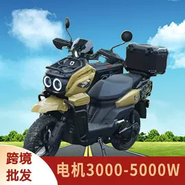 电动摩托车;两轮摩托车