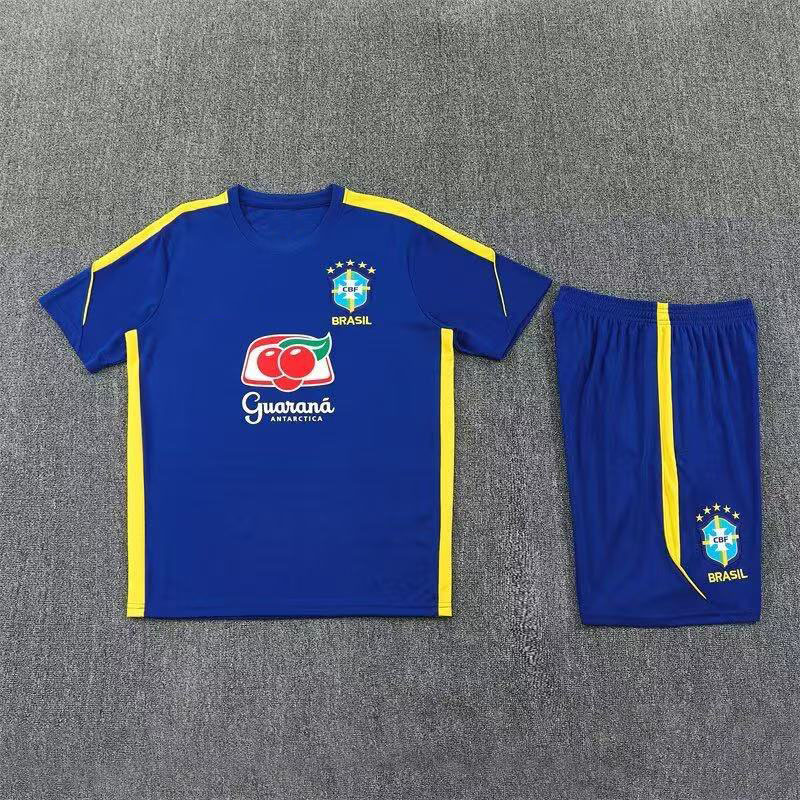 2627 Brazilian blue color