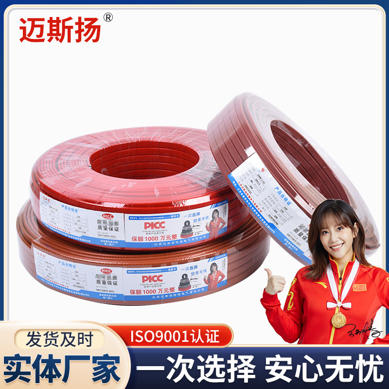 Self controlled temperature electric heating belt explosion-proof high temperature pipeline with hea