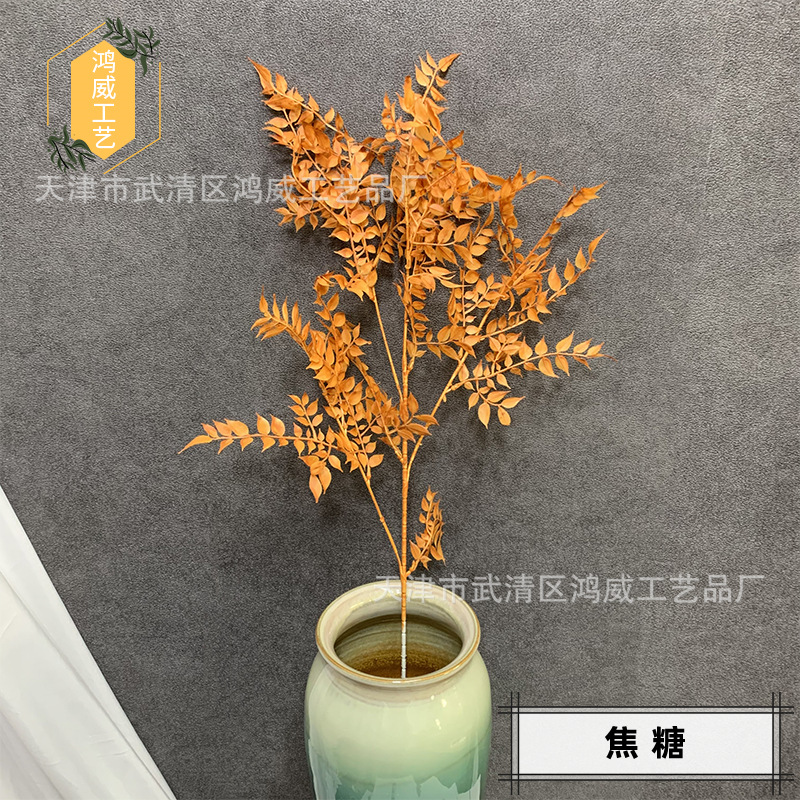 焦糖_副本.jpg