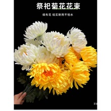 �¿��������ω���Ĺ��Ĺ��z�ռ��������@Ĺ�����[�žջ���