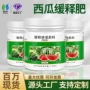 育苗缓释盆栽西瓜肥料