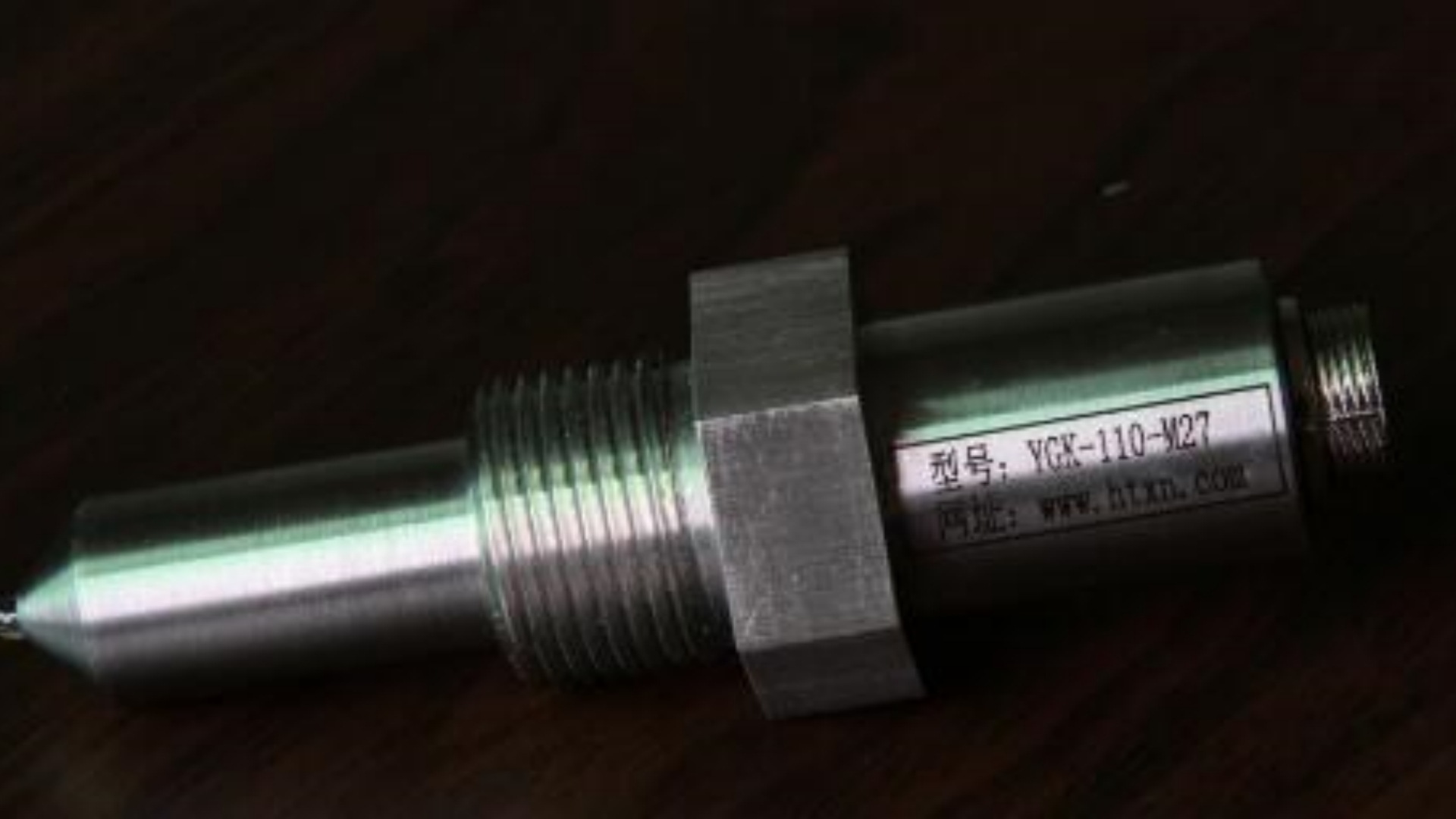 不锈钢液位开关 型号 BH119/YGK-110C库号 M128541