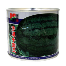 ɳĮСLϷN rˈ@sͺھGƤ