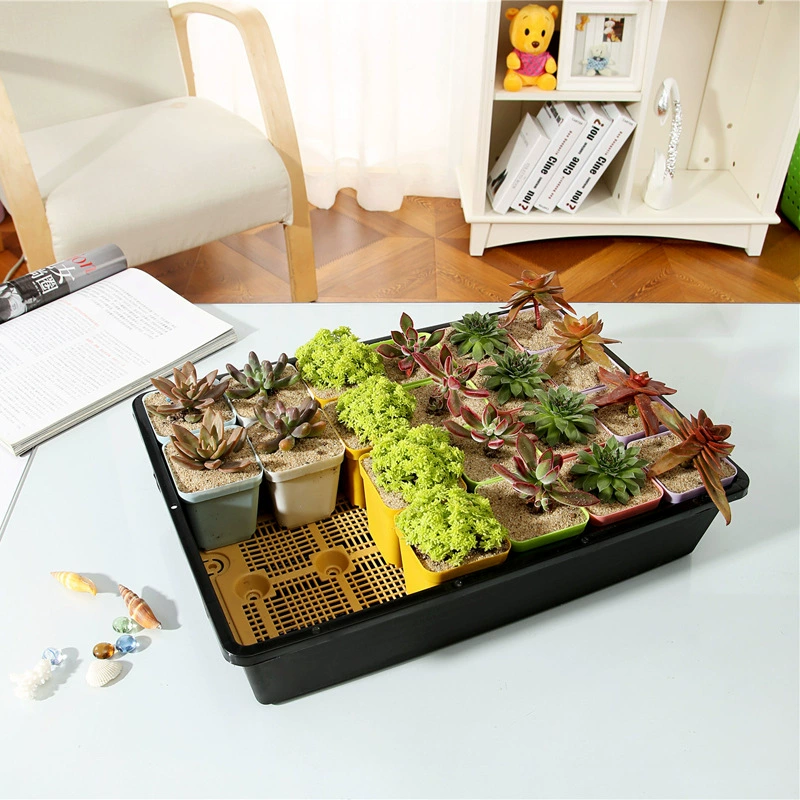 Большой и маленький черный квадратный комбинированный горшок для питомников суккулентов на твердой основе может получать воду пластиковый цветочный горшок по специальной цене