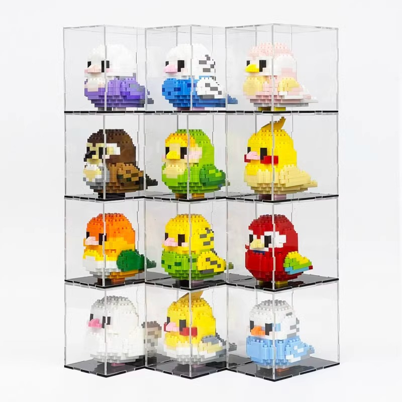 12 cajas de exhibición de correa de pájaros 2931 granulares - cubierta acrílica