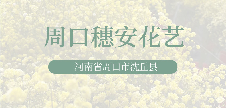 穗安详情页未标题-1_16