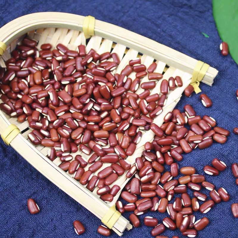 赤小豆