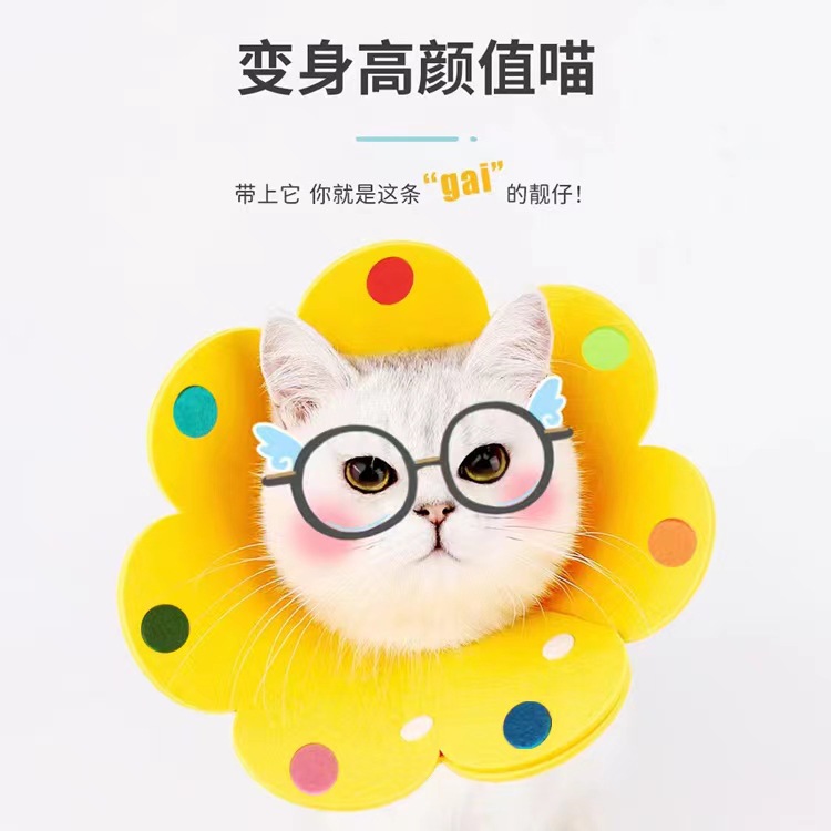 微信图片_20230220093320