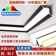 픽Ǿ��͟��X�Ͻ�ʯ�ྀLED�͏d�p��Ƥ���ԟ����b�����ϴ������