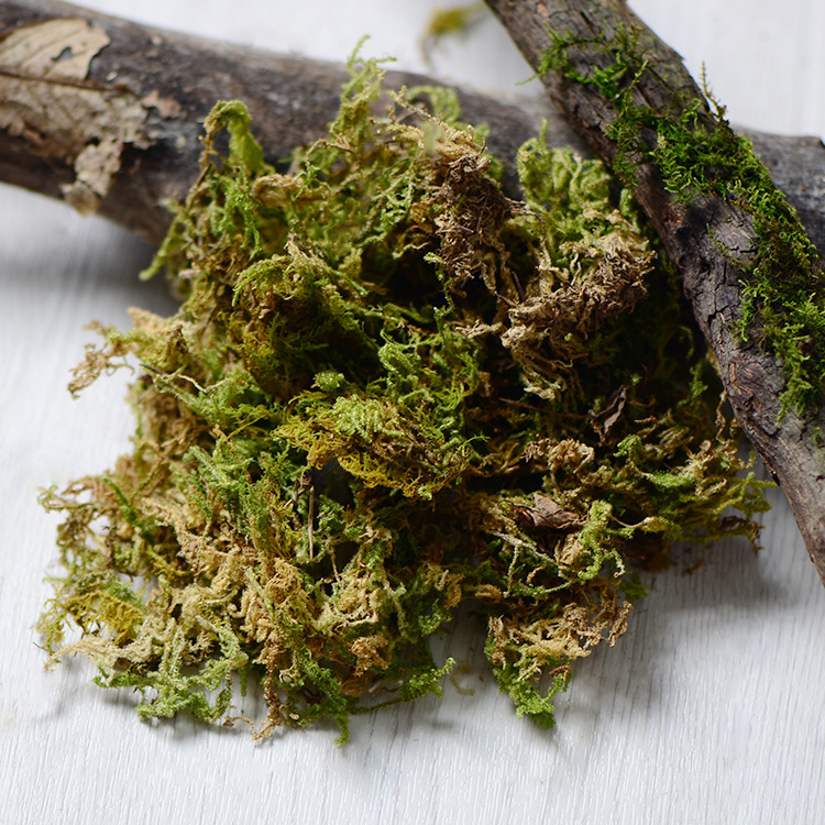 Musgo seco verde claro 100g