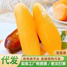 天山雪莲果新鲜水果应当季云南孕妇红心雪连果黄心特整箱现挖