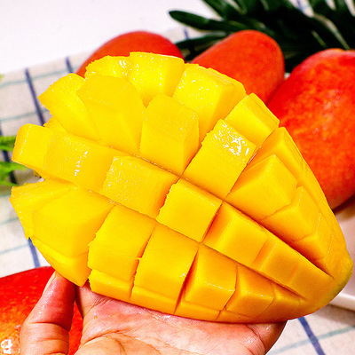 source supply fresh Mango Mount Royal Season fruit One piece On behalf of