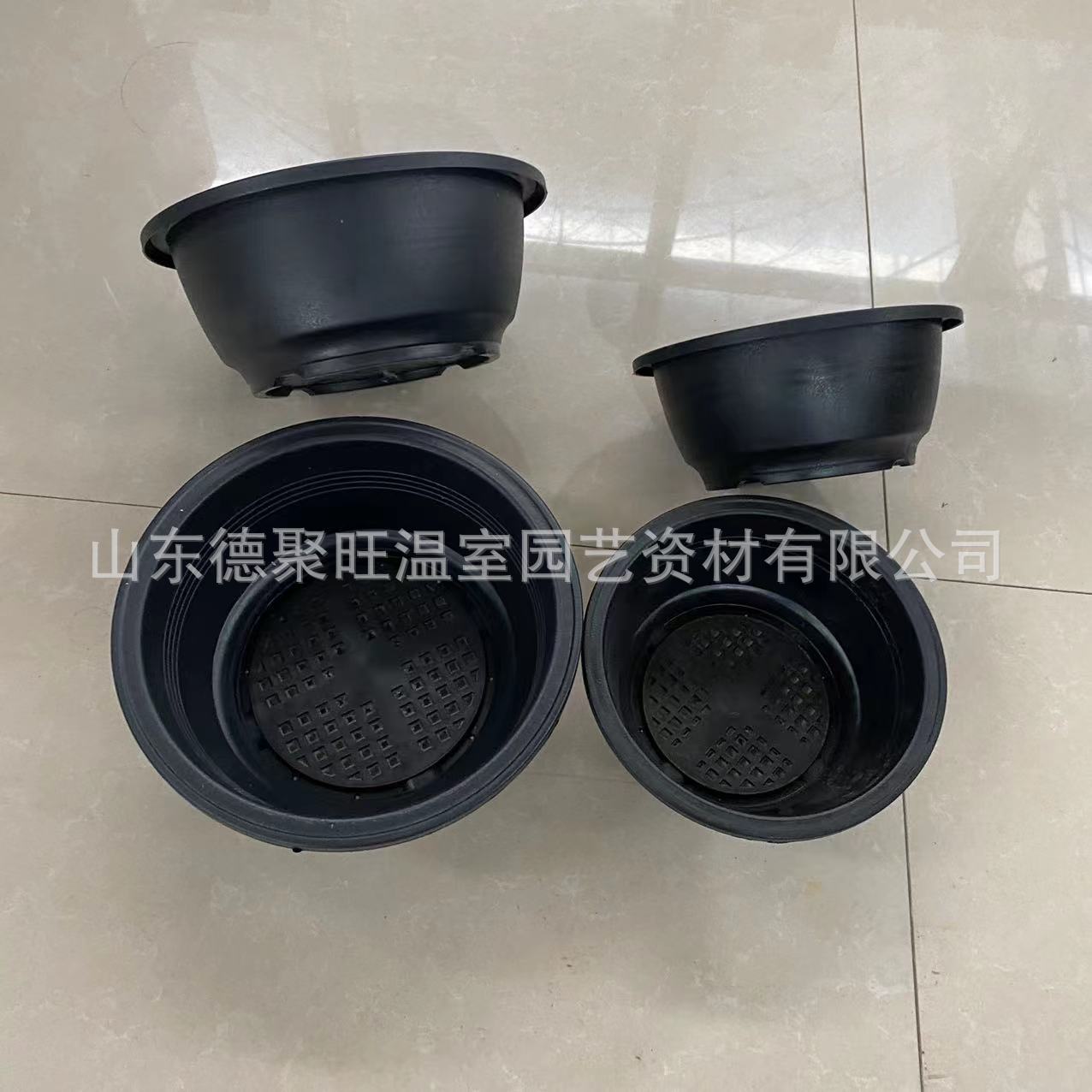 ���� (1).jpg