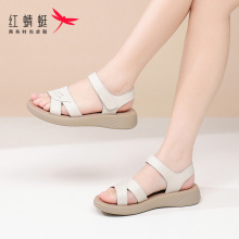 红蜻蜓女鞋夏季平底软底女士凉鞋女款外穿真皮妈妈上班不累脚防滑