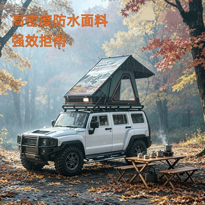 hard-top aluminum alloy car: Avtomobil dam çadırları