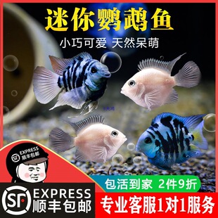 �Ꭷ�^�p�~�����W�^�~��С�͵�ˮ���B���w���{�׽�N�~һ����ֳ�M