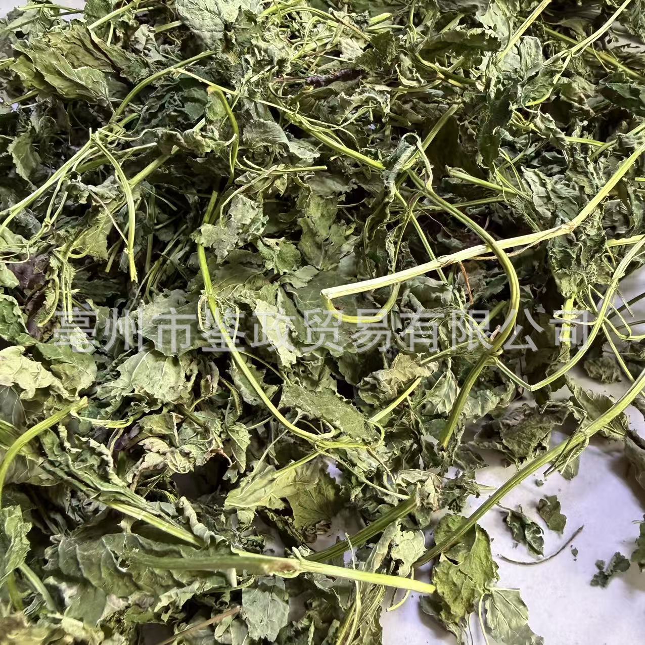 Lemon Balm Dried Herb 500g Bag Xiang Feng Cao Herbal Tea Ingredient specifications