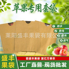 【盛豊】リンゴ袋防鳥虫防水育果袋単二重リンゴ保護袋