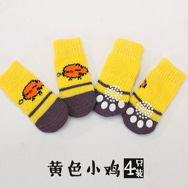 노란 병아리