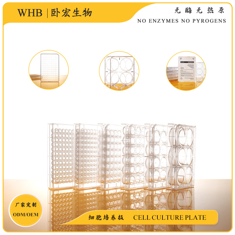 WHB细胞培养板6 24 12 96 48孔板稀释细菌细胞培养板测荧光发光板