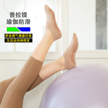 ���Ŀ��������͸���[���٤���zŮ�m