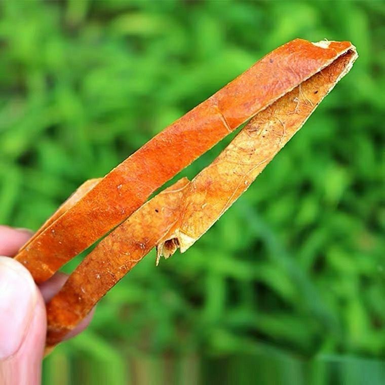 Trichosanthes Peel Gua Lou Pi 500g Dried TCM Herb Slices for Decoction quality and texture