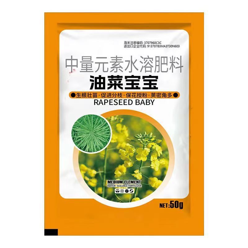 微信图片_20241127190505