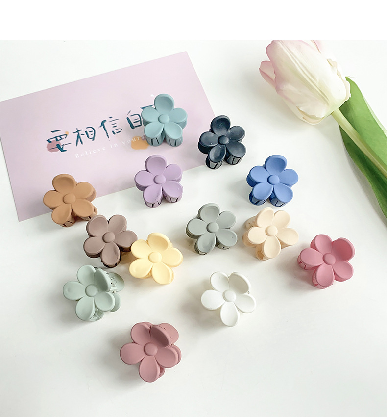 Simple Style Flower Resin Hair Claws display picture 1