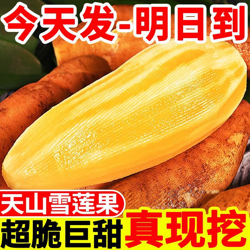 正宗天山雪莲果1/3/5/10斤红心新鲜脆甜水果应季整箱批发