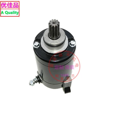Chinese cabbage 250 starter starter – Starter and accessories