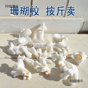 ��̨�b���Ȼ̫���ײ�ɺ���~��diy���b����֦����ؐ��䁵�ɺ��ʯ