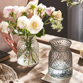 新款创意收口玻璃花瓶彩色布袋水培插花瓶居家办公水养鲜花瓶装饰