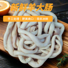 ���r���c���cɢ�B��������؛����ʳ�����s��������С�c