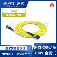 MPO-MPO���w��ģ24о���w�������ܶȔ������Ę˓pSM������w���|