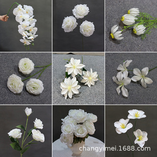 �������F��ɫϵ��c�����Fڡ��Y���b�·���廨��피ٻ����ϻ�