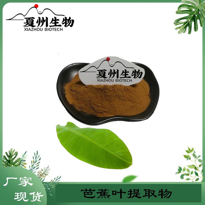 芭蕉叶提取物10/20/30/50:1规格 芭蕉叶萃取粉 夏州生物 欢迎咨询