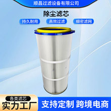厂家现货批除尘滤筒过滤芯工业除尘聚酯纤维回收粉尘喷涂过滤器