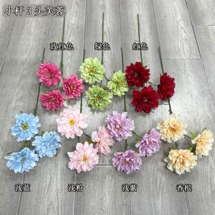 ���滨���^ĵ�����������|��c���û�Y���b��� 7ɫܽ�ػ�