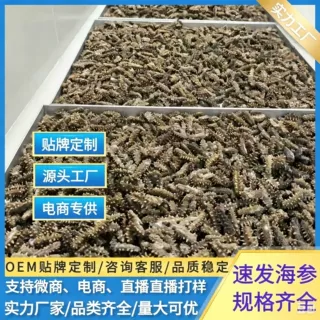 FD海参冷水速发海参支持来样定制贴牌代加工大连海参礼盒冻干海参