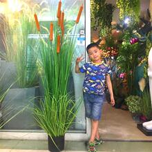 ���[�����l��������ˮϞ�Tֲ��@ˇ���^����ܛ�b�ҾӾGɫ�b[��