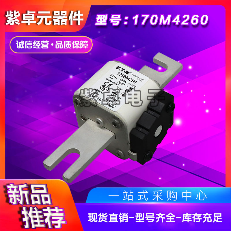 170M4214 170M4215 170M4216 170M4217 170M4218 170M4219保险丝