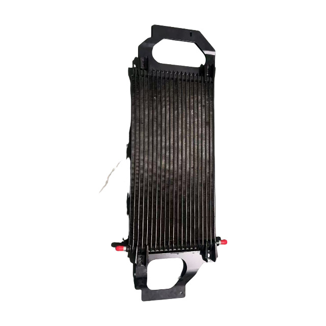 微信图片_20250219090006