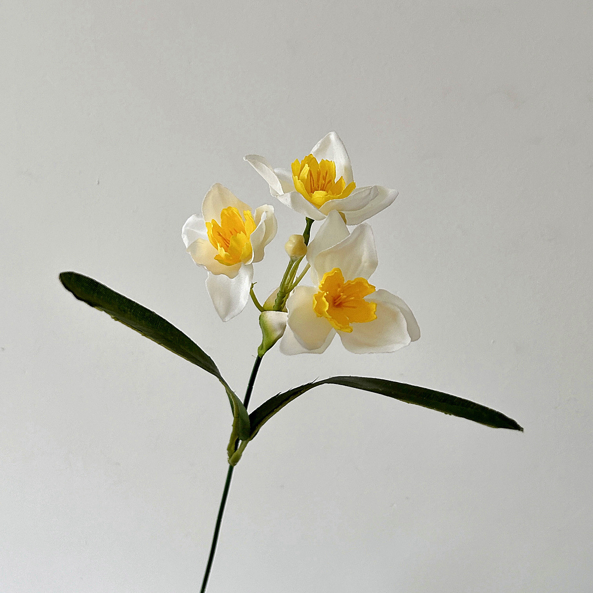 화이트 옐로우 하트