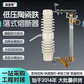 绝缘子;线夹;低压熔断器