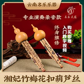 吹奏类乐器