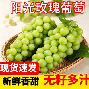 ꖹ�õ��1/3�����ˬ�������������rˮ�������Fժ��֭��������